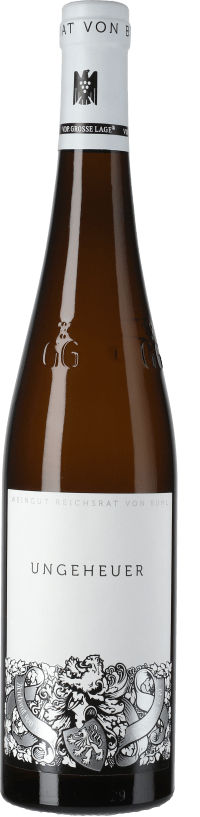 Riesling Ungeheuer Großes Gewächs trocken 2017