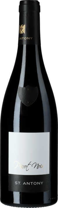Pinot Noir Nierstein QbA trocken 2016