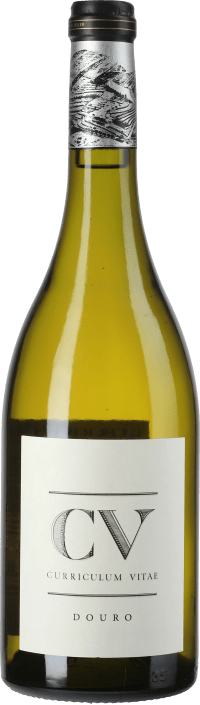 Douro White CV Curriculum Vitae DOC 2017