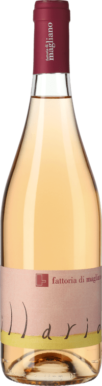 Illario 2018