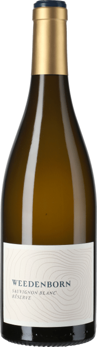 Sauvignon Blanc Reserve trocken 2017