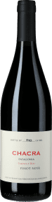 Bodega Chacra Treinta Y Dos 2024