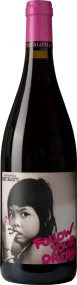 Testalonga Baby Bandito Carignan »Follow Your Dreams« 2025
