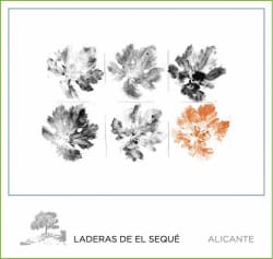Laderas de El Seque 2012