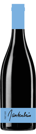 Pinot Noir 2016