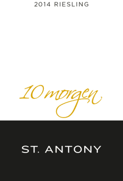 St. Antony: Riesling Nierstein Zehnmorgen Großes Gewächs 2021