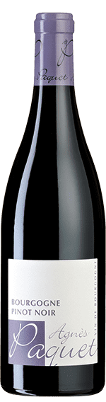 Bourgogne Pinot Noir