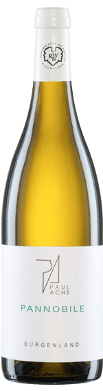 Paul Achs: Pannobile weiß 2010