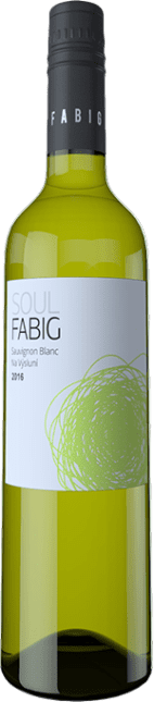 Fabig: Sauvignon Blanc Na vysluni 2018