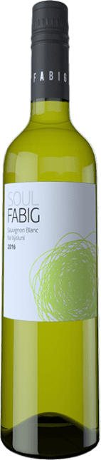 Sauvignon Blanc Na vysluni 2018