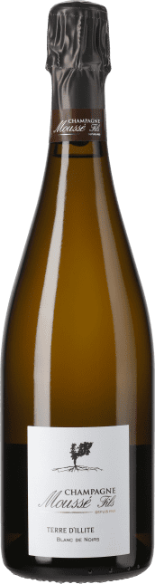 Champagne Terre d'Illite Blanc de Noirs Flaschengärung 2010