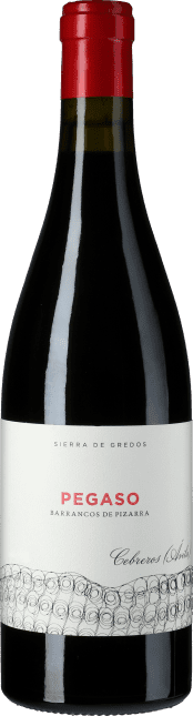 Pizarra Sierra de Gredos Garnacha 2019