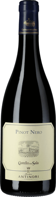 Pinot Nero 2019