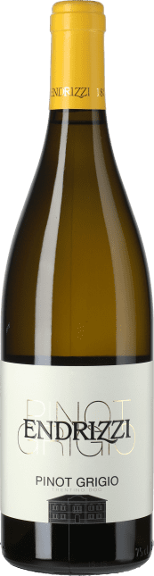 Pinot Grigio Classica DOC Trentino 2021