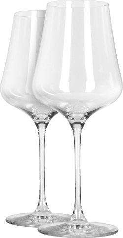 Gabriel-Glas 'StandArt' im 2er Set