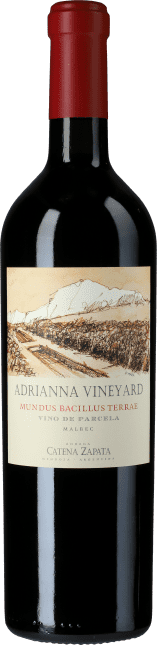 Adrianna Vineyard Mundus Baccilus Terrae 2015