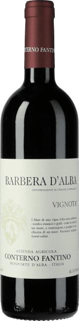 Barbera d'Alba Vignota 2021