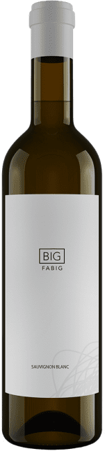 Fabig: Sauvignon Blanc Barrel fermented 2018