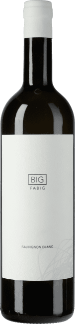 Fabig: BIG Sauvignon Blanc (vorher: Sauvignon Blanc Barrel fermented) 2019