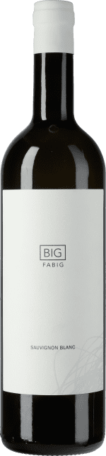 BIG Sauvignon Blanc (vorher: Sauvignon Blanc Barrel fermented) 2019