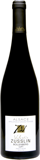 Pinot Noir Bollenberg Luft trocken 2016