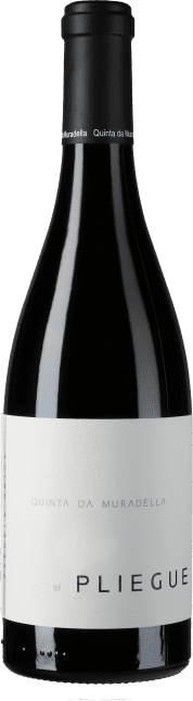 El Pliegue 2015