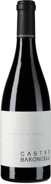 Mencia Castro Baroncelli 2016