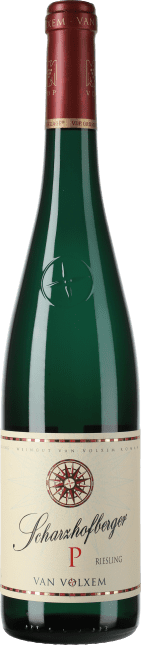 Riesling Wiltinger Scharzhofberger - P - Pergentsknopp Großes Gewächs 2020