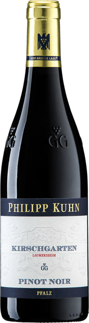 Pinot Noir Laumersheimer Kirschgarten Großes Gewächs 2019