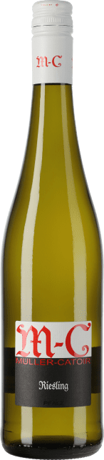 Riesling MC Gutswein 2021