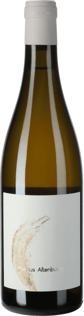 Grüner Veltliner Ried Ladisberg 2022