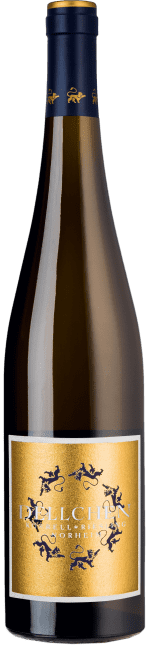 Korrell: Riesling Dellchen 2021