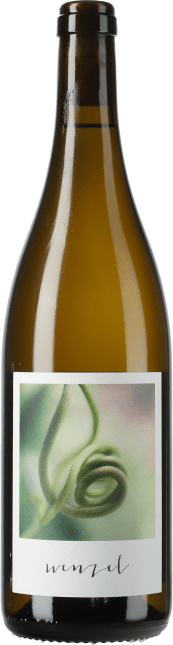 Furmint Stockkultur 2023