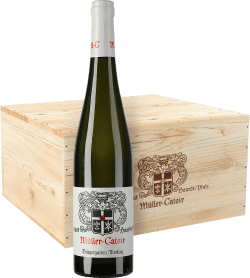 Sammlerbox: Riesling Haardt Bürgergarten Jubiläumsedition Jahrgangsvertikale 2016 - 2021 Erste Lage