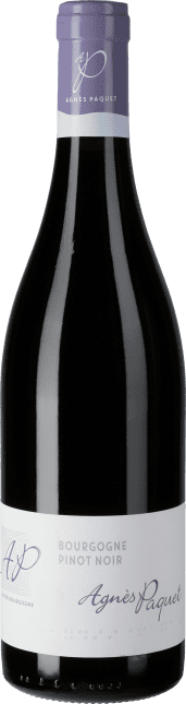 Bourgogne Pinot Noir 2022