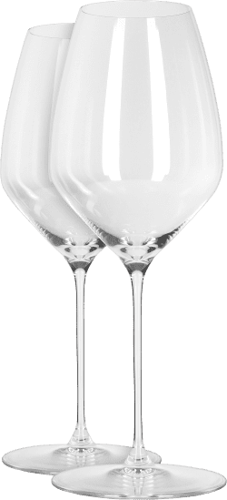 Riedel Glas Veloce - Riesling im 2er Geschenkset