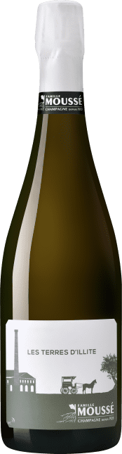 Champagne Les Terres d'Illite Blanc de Noirs 2019