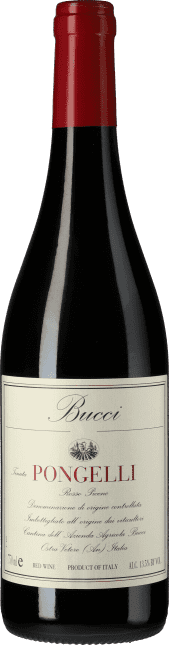 Villa Bucci: Rosso Piceno Pongelli 2020