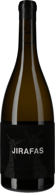 Viña Zorzal: Pequeñas Puertas Jirafas 2021
