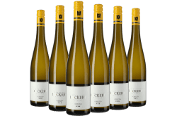 Zehnthof Luckert: Sammlerbox: Sylvaner Creutz *** Vinothekenkisten III 2016, 2017, 2018, 2019, 2021 & 2022