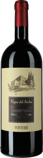 Chianti Classico Gran Selezione Vigna del Sorbo 2021