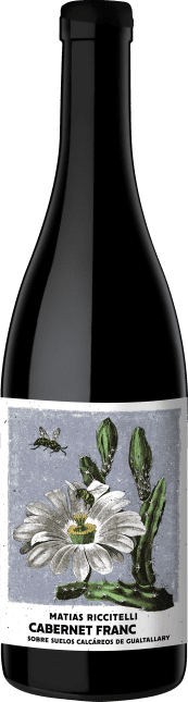 Cabernet Franc Sobre Suelos Calcáreos de Gualtallary 2022