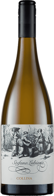 Stefano Lubiana Wines: Collina Chardonnay 2023