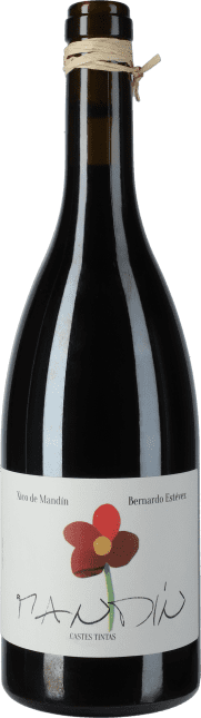 Bernardo Estevez: Mandin Cestes Tintas 2023
