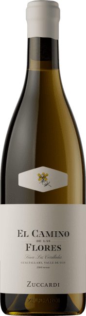 Bodega Zuccardi: El Camino De Las Flores 2024