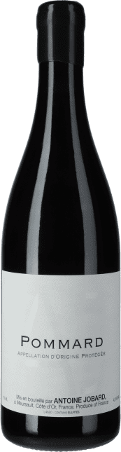Antoine Jobard: Pommard 2020