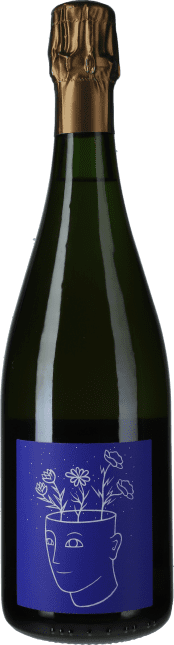 Timothée Stroebel: Champagne Pour Toi Premier Cru Brut Nature