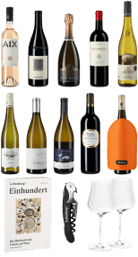 Lobenbergs Start ins Weinleben