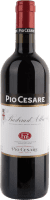 Barbera d'Alba 2017