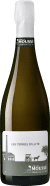 Champagne Les Terres d'Illite Blanc de Noirs 2019